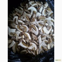 Продам сухие белые грибы сорт экстра и первый