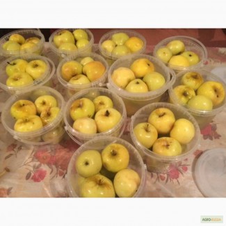 Продаю моченые яблоки (Антоновка)
