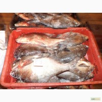 Продам свежемороженую речную рыбу