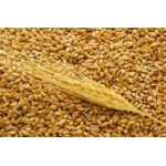 Экспорт, пшеница, ячмень, кукуруза, мука, FOB, CIF
