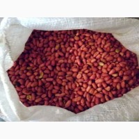 Продаём арахис калиброванный крупным оптом