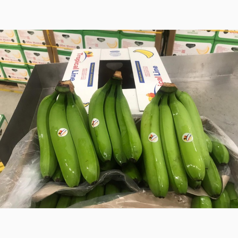 Фото 7. Предлагаем бананы из Эквадора и Коста Рика