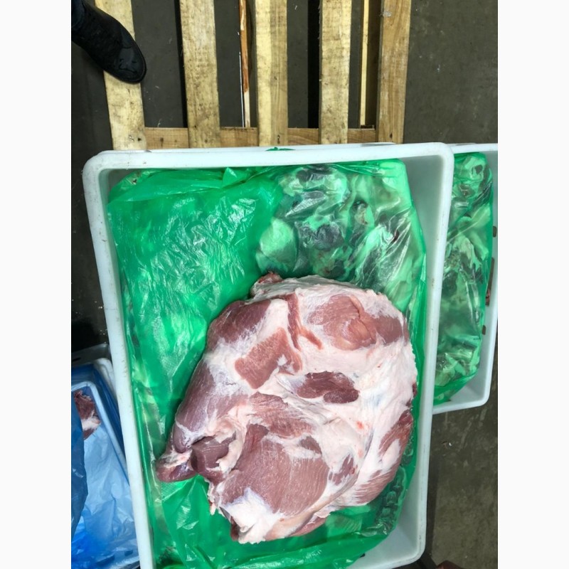 Фото 4. Продам свинину в куске