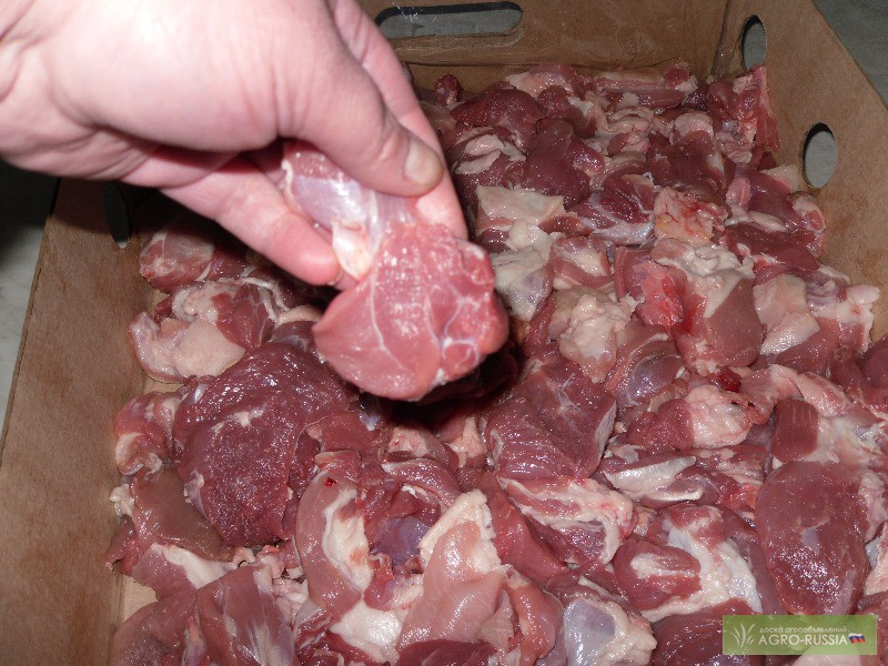 Фото 3. Мясо котлетное оптом