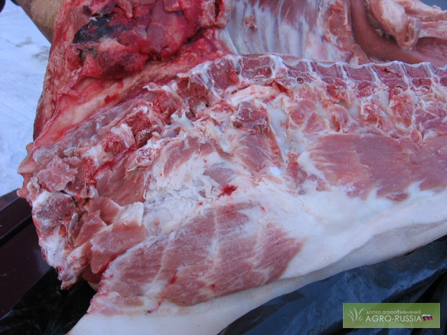 Фото 3. Мясо телятины.Говядина