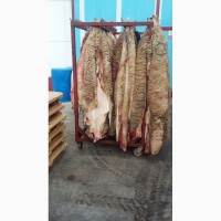 Продаем шкуры Испанских мериносовых овец шерстные