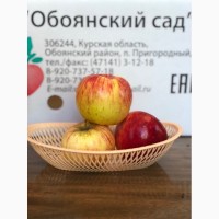 Продаем яблоки оптом от производителя