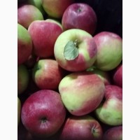 Яблоки отечественные сорта