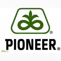 Гибриды семена подсолнечника Пионер (Pioneer)