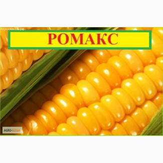 Семена сахарной сладкой кукурузы Ромакс сша- Арт 03