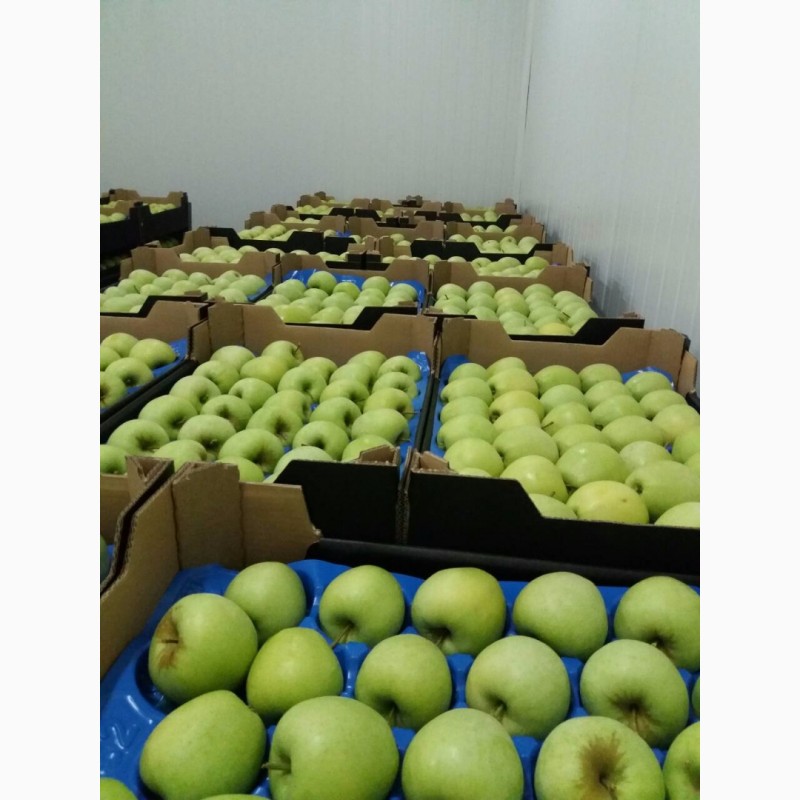Фото 4. Сербское предложение по яблокам