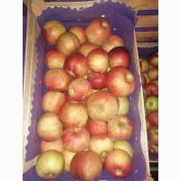 Продажа яблок из Сербии