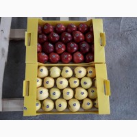 Яблоки крепкие и ароматные (иран) 2021