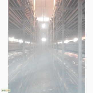 Система туманообразования - увлажнитель воздуха при выращивании грибов