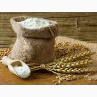 Мука пшеничная хлебопекарная Высший сорт или Первый сорт