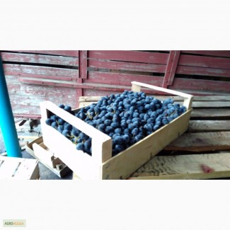 Шпоновые ящики для винограда в АР КРЫМ