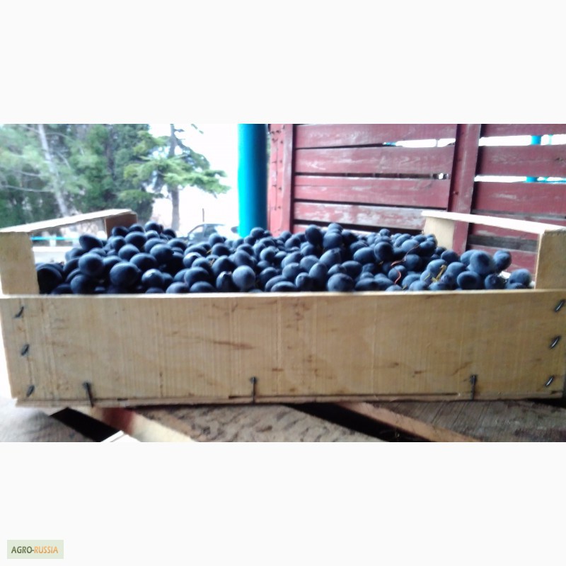 Фото 3. Шпоновые ящики для винограда в АР КРЫМ