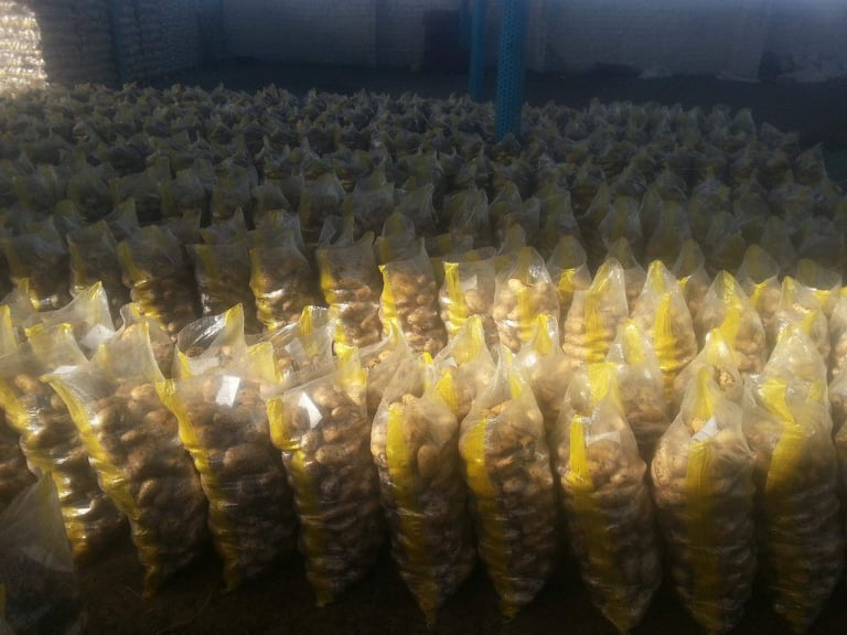 Фото 7. Продам картофель из Египта