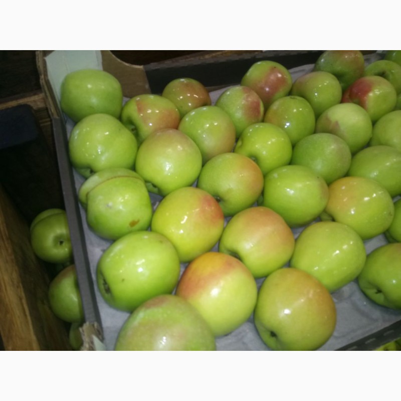 Фото 2. Яблоки оптом от производителя от 43 р/кг