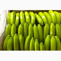 Продам Премиум Бананы свежие импортированные из Эквадора от 18 тонн