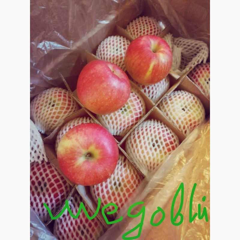 Фото 2. Продаю яблоки разных сортов Фуше, Розовый рубин, Медовое