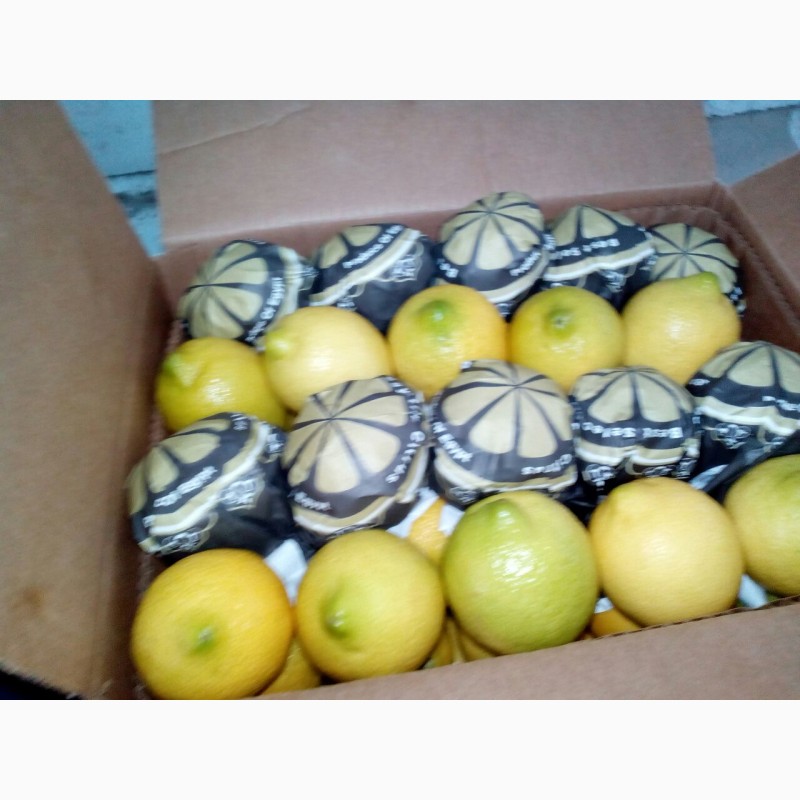 Фото 3. Продаем лимон оптом с доставкой