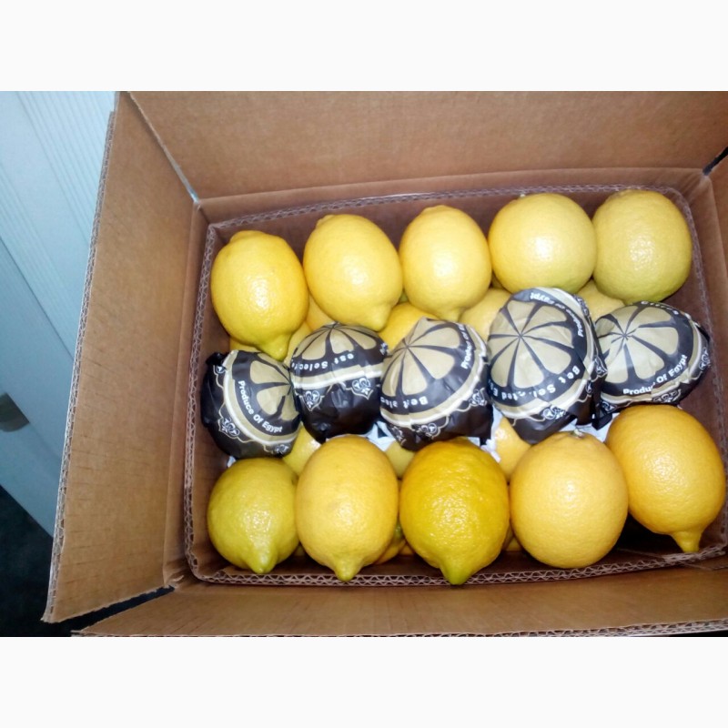 Фото 4. Продаем лимон оптом с доставкой