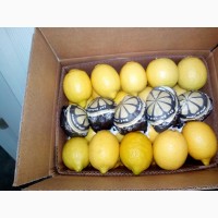 Продаем лимон оптом с доставкой