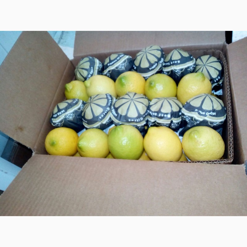 Фото 6. Продаем лимон оптом с доставкой