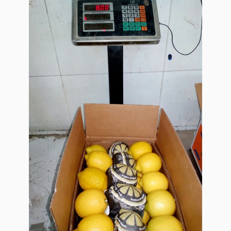 Фото 7. Продаем лимон оптом с доставкой