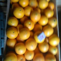 Продам апельсины сорт Вашингтон калибр 7-12