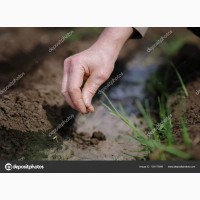 Удобрения Жидкий Гуминовый Активатор Почвы на Экспорт