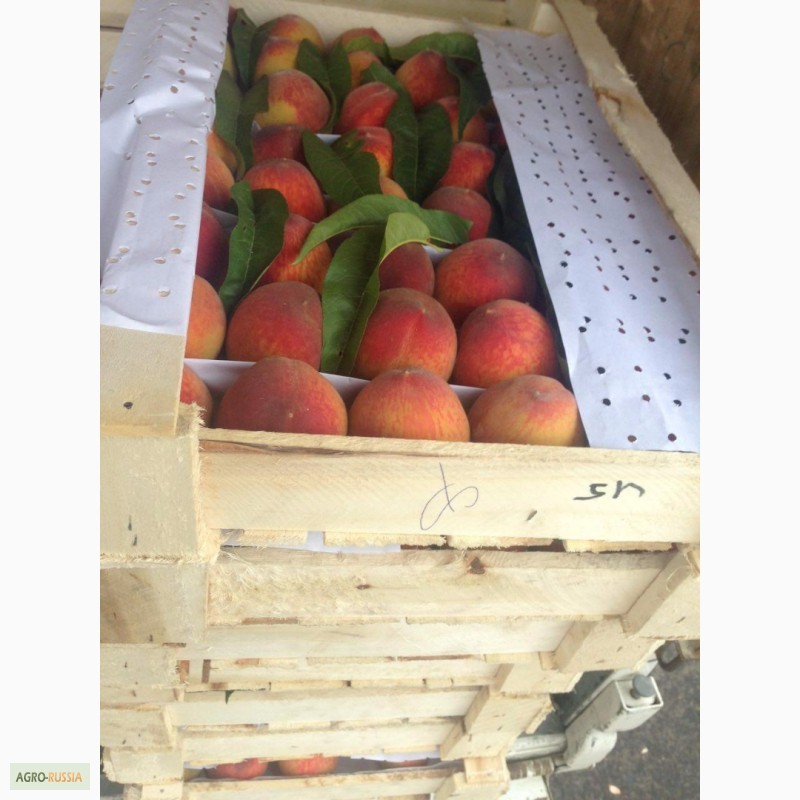 Фото 3. Продаем нектарини, персики и виноград из Узбекистана