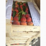 Продаем нектарини, персики и виноград из Узбекистана