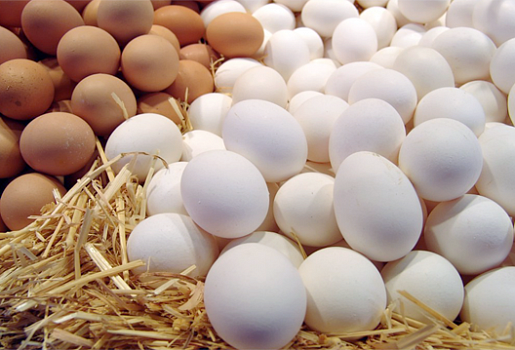 Инкубационное яйцо, кур, перепелов, индеек, гусей, уток, цесарок, куропаток, павлинов