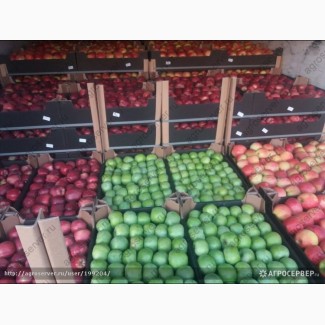 Продам яблоко от 20 тонн цена 41 руб