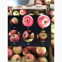 Продам свежие яблоки из Молдовы