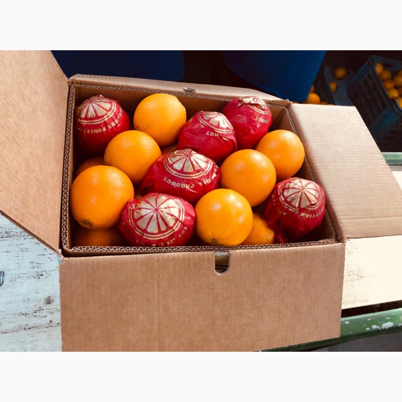 Фото 2. Selling Oranges