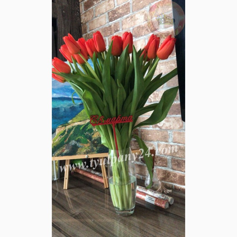 Фото 7. Тюльпаны оптом Омск (45-70см) и мимоза к 8 марта 2022г