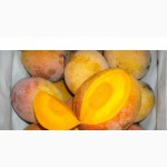Продаем манго (Египет)