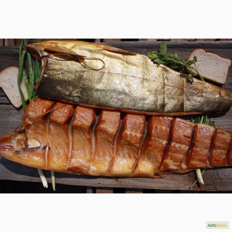 Фото 2. Речная рыба оптом, сертификаты, отличный вкус и качество