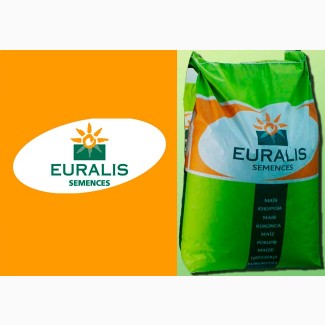 Семена кукурузы Евралис Семанс / euralis semences