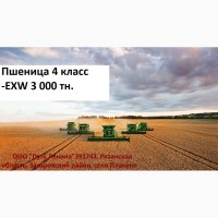 Пшеница 4 класс -EXW 3 000 тн