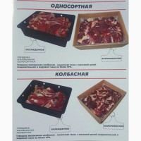 Мясо блочная говядина оптом