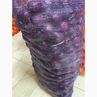 Продам лук фиолетовый