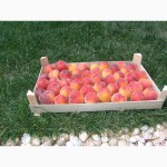 Шпоновые ящики для упаковки ягод, фруктов в и овощей АР КРЫМ