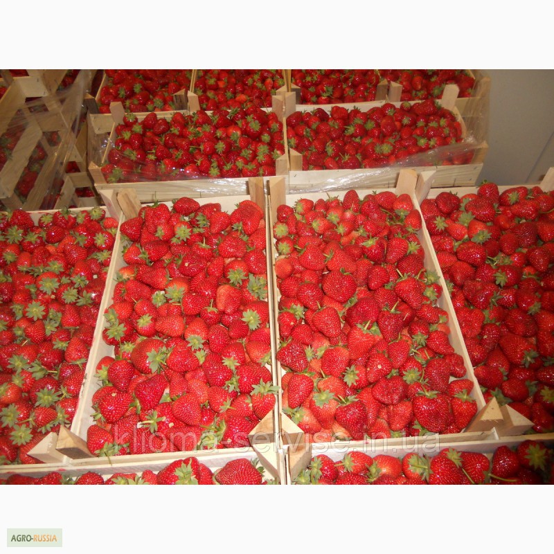 Фото 7. Шпоновые ящики для упаковки ягод, фруктов в и овощей АР КРЫМ