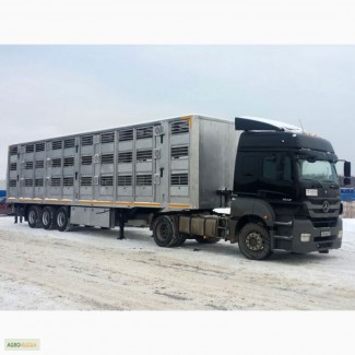 Перевозка скотовозами по России и зарубежью
