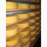 Продам сыр в ассортименте на прямую от производителя. от 20 тонн. доставка по РФ.Заходи