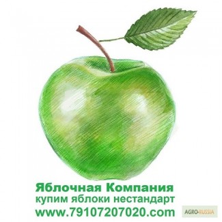 Купим яблоки для переработки (для садоводов-производителей цены выше рыночной)